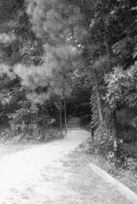 Cold Harbor Trail entering the woods Every part of this soil is sacred Every - photo 3