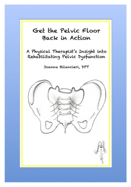 Joanna Bilancieri - Get the Pelvic Floor Back in Action: A Physical Therapists Insight Into Rehabilitating Pelvic Dysfunction