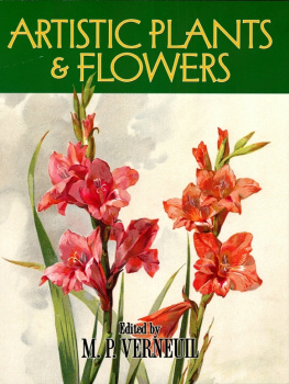 M. P. Verneuil Artistic Plants and Flowers