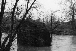 Mary Shafer - Devastation on the Delaware: Stories and Images of the Deadly Flood of 1955