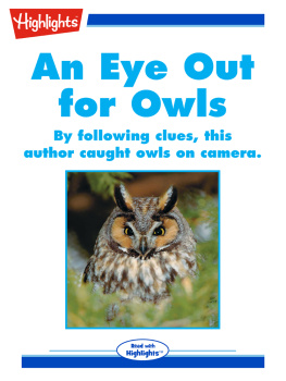 Highlights for Children - An Eye Out for Owls