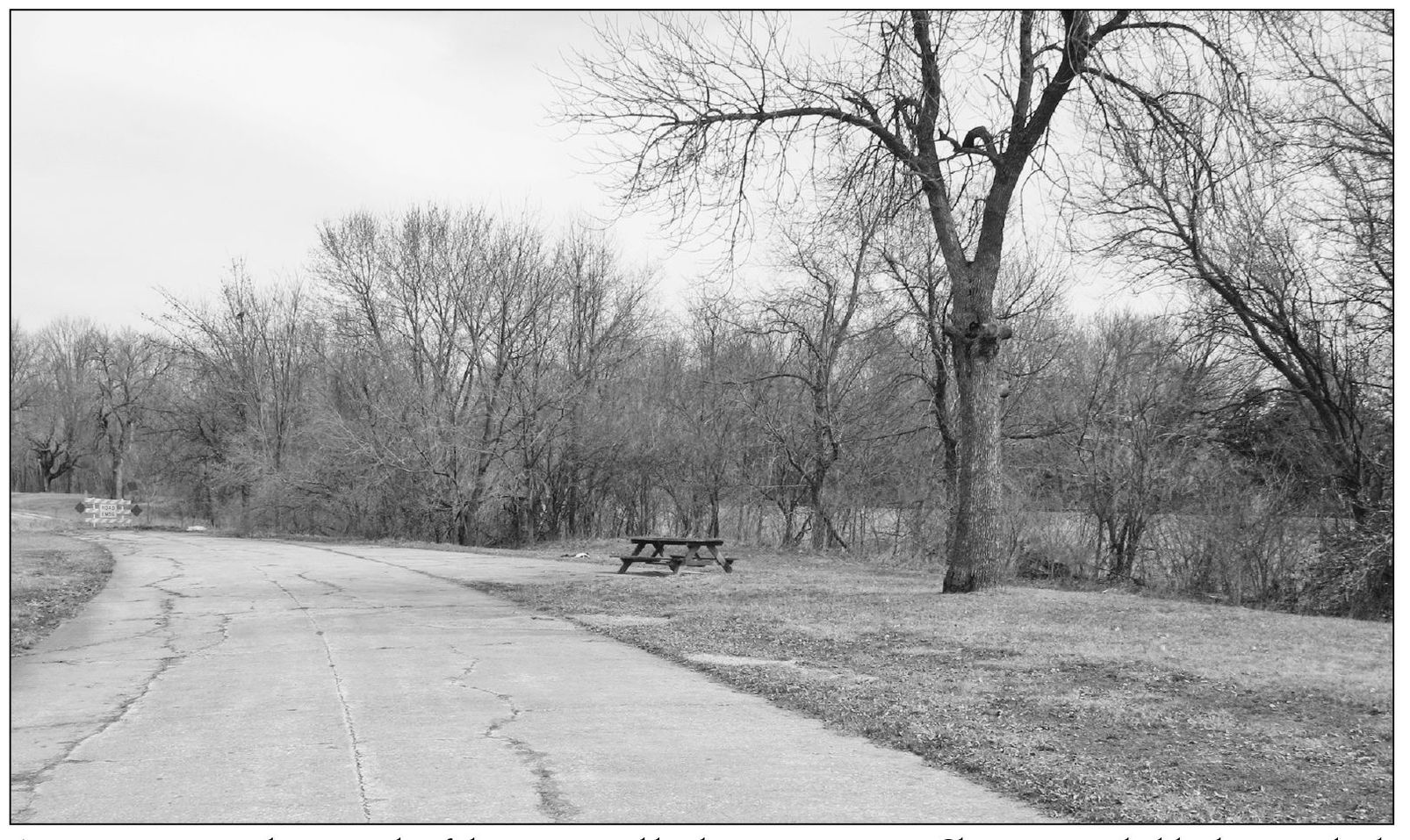 A contemporary photograph of the preserved highway rest area at Sherman - photo 5