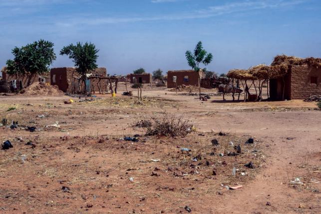 Many villages in rural regions of Niger look much like this Niger also has the - photo 4