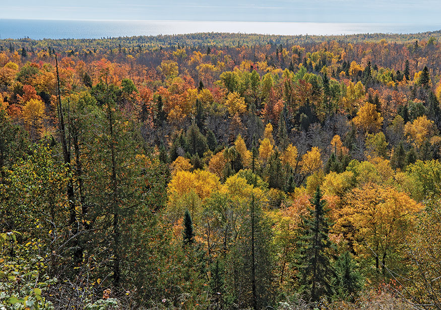 Forest above Lake Superior Often as a young family with busy schedules we had - photo 5