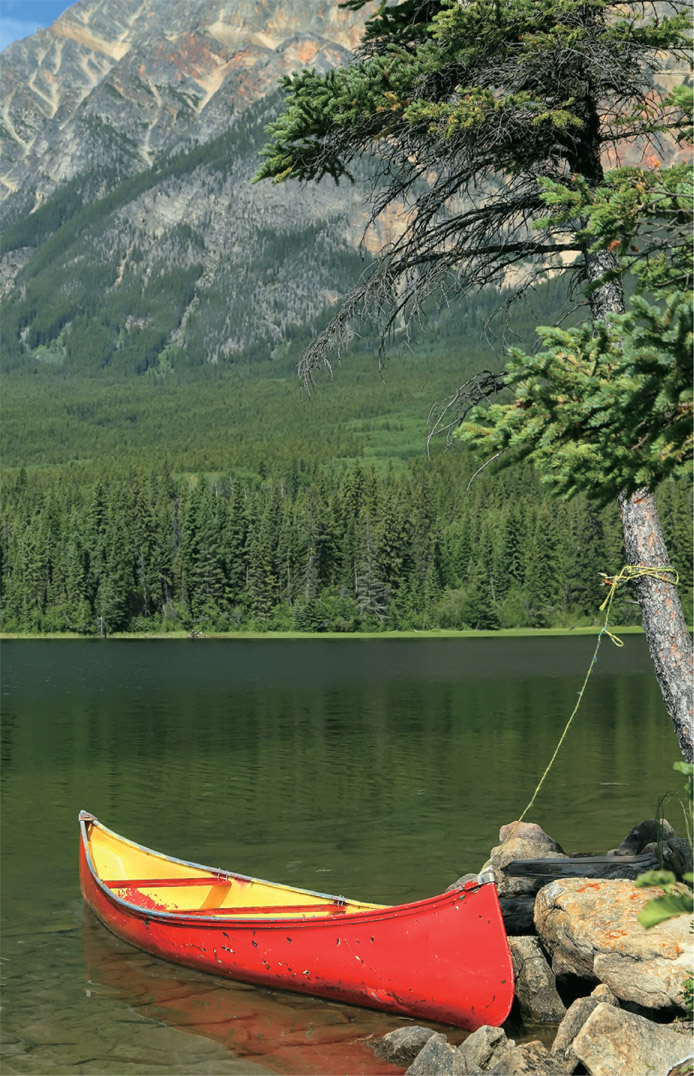 Protasov ANShutterstock APPENDIX A CANOERS CHECKLIST Bailer Boat sponge - photo 2