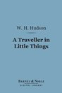 W. H. Hudson - A Traveller in Little Things