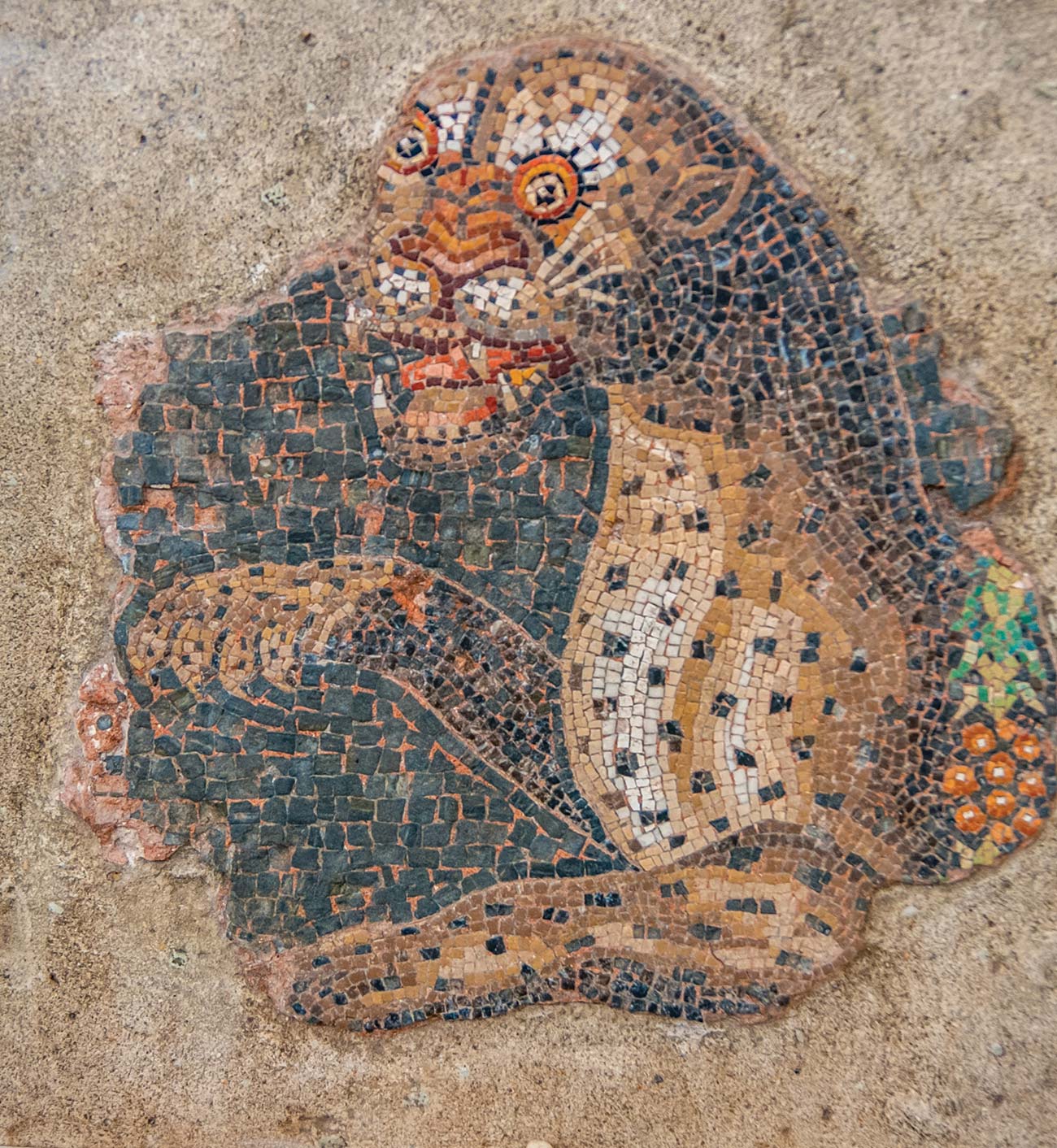 a beautiful tiger mosaic in Delos Milos island beach sun- - photo 6