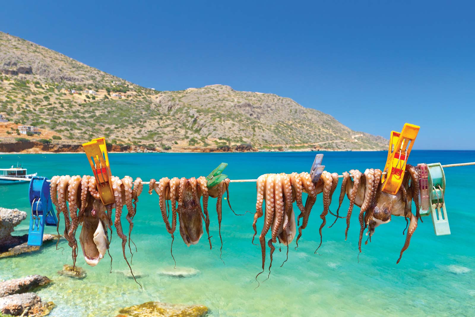 sun-dried octopus in Crete Happy is the man I thought who before dying has - photo 8