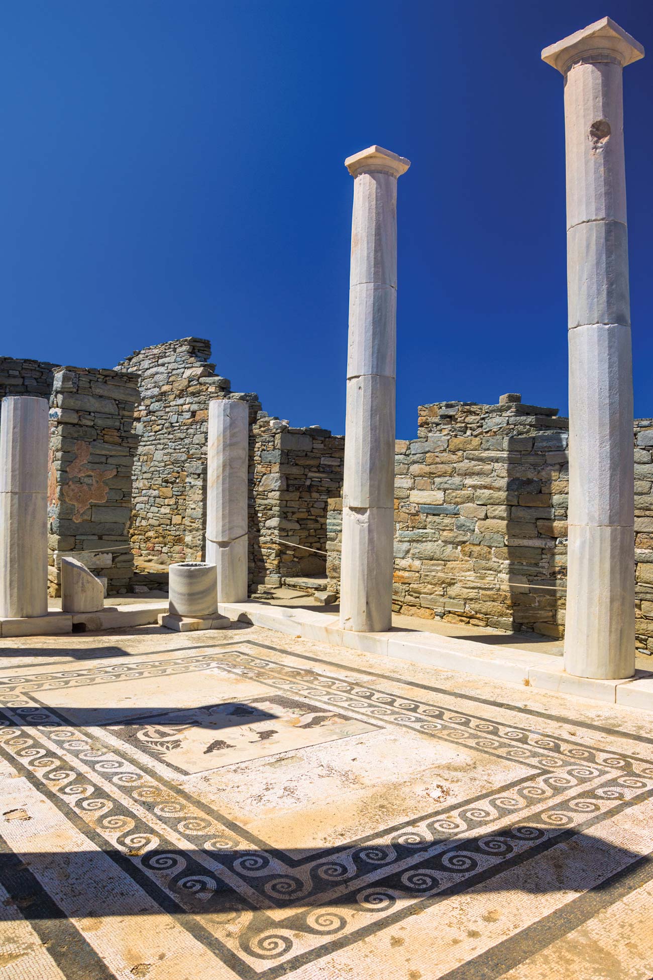 ancient ruins on the island of Delos bright green olives commonly grown - photo 13