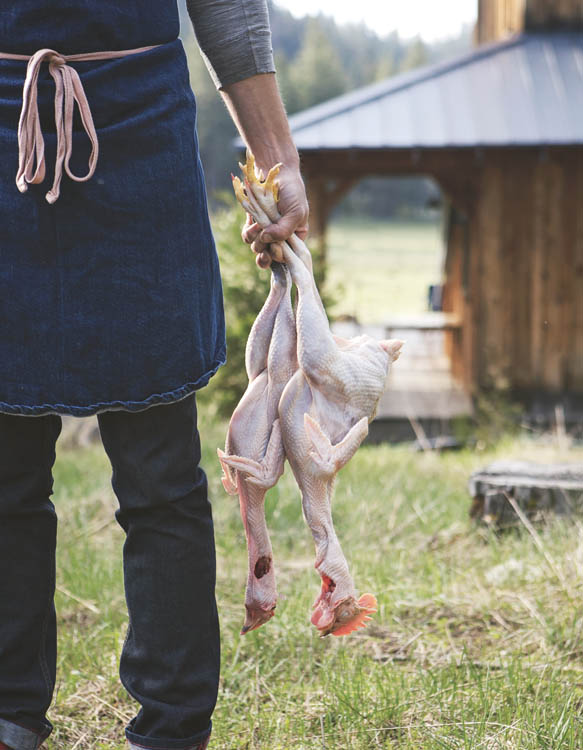 A chicken in every pot was touted during the late 1920s as the aspiration for - photo 7