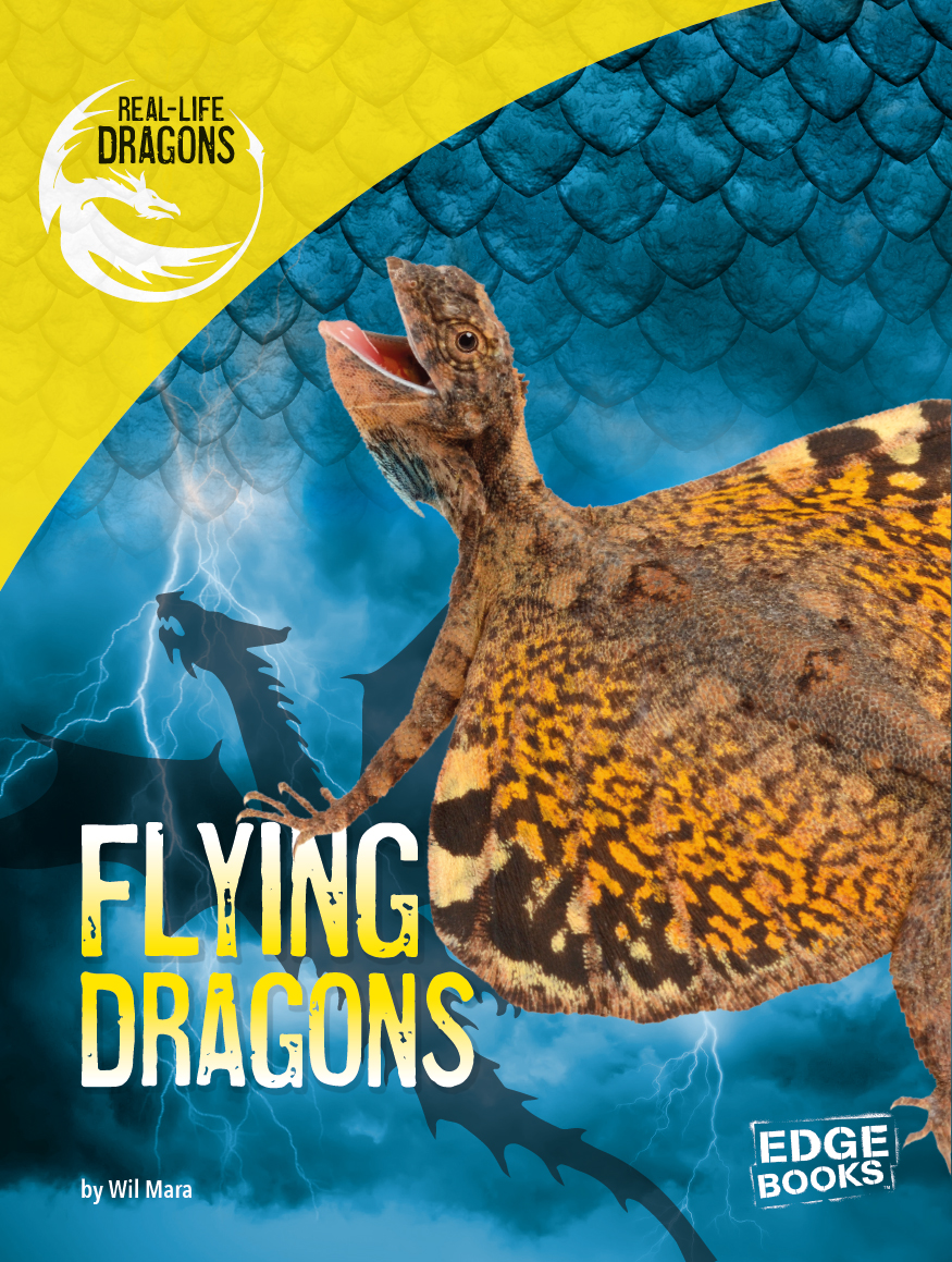 FLYING DRAGON FACTS COMMON NAME flying dragons GENUS NAME Draco all - photo 1