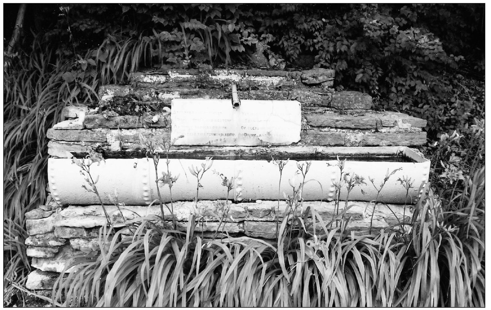 A unique watering trough given to the township by Giles Richards can be seen on - photo 6