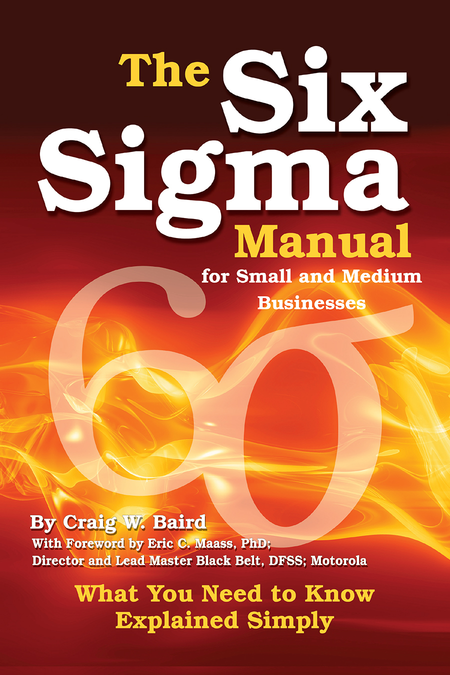 The Six Sigma Manual for Small and Medium Businesses What You Need to Know - photo 1