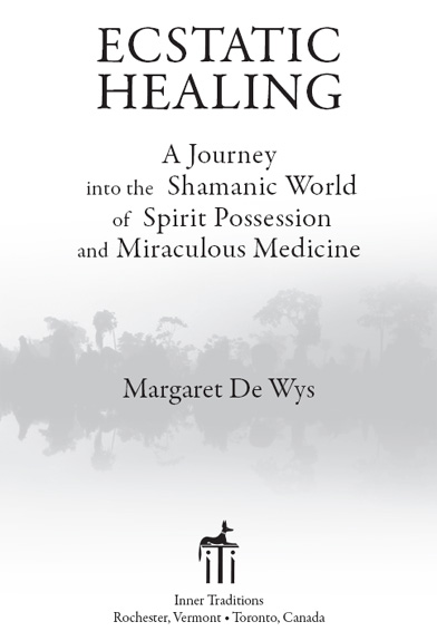 Ecstatic Healing A Journey into the Shamanic World of Spirit Possession and Miraculous Medicine - image 1