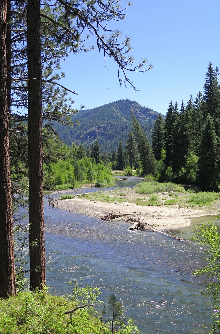 Backpacking Oregon From River Valleys to Mountain Meadows 1st Edition 1999 - photo 2