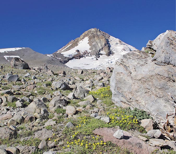 Mount Hood from just above Cooper Spur Shelter see photographed by Douglas - photo 5