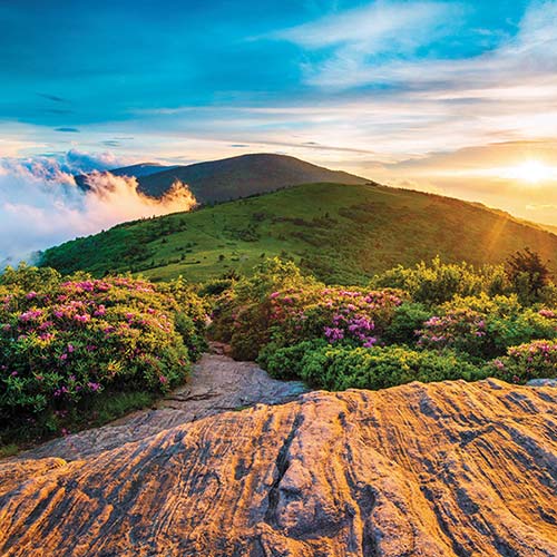 The Appalachian Trail is the longest hiking-only footpath in the world - photo 3