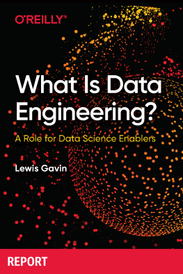 Lewis Gavin What Is Data Engineering?