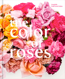 Danielle DallArmi Hahn - The Color of Roses: A Curated Spectrum of 300 Blooms