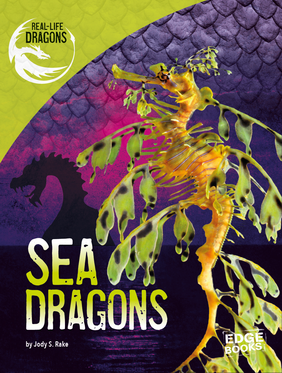 SEA DRAGON FACTS SPECIES leafy weedy and ruby RANGE coasts off western - photo 1