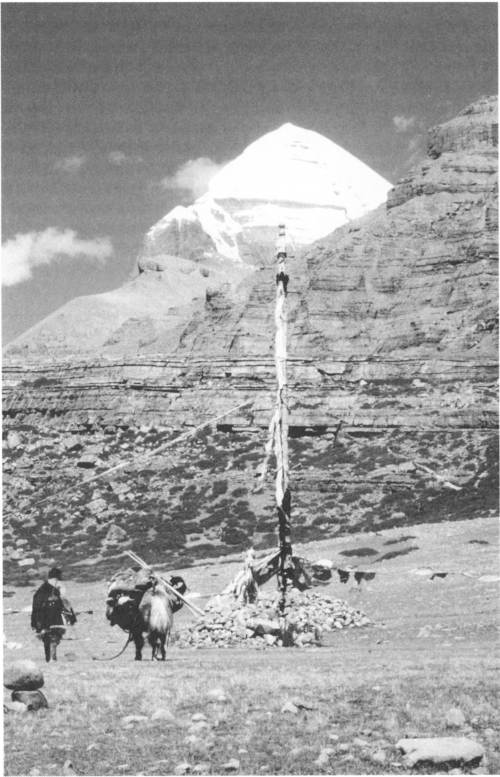 A Tibetan pilgrim approaching the giant flagpole at Tarboche on the circuit of - photo 2