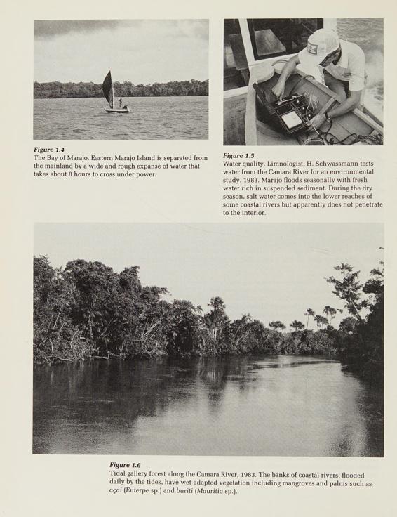 Moundbuilders of the Amazon geophysical archaeology on Marajo Island Brazil - photo 44