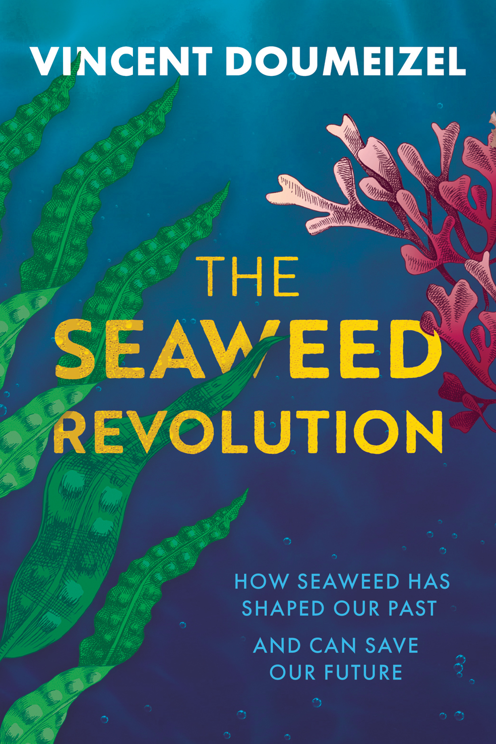 THE SEAWEED REVOLUTION The Seaweed Revolution How Seaweed Has Shaped Our Past - photo 1