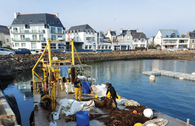 Author in Lesconil France visiting Algolesko one of the largest seaweed - photo 15