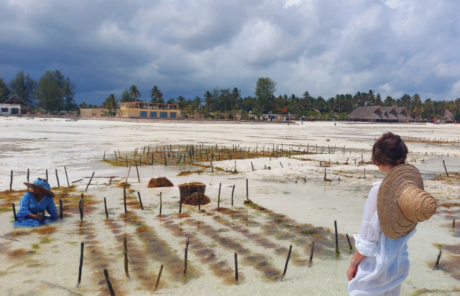 The illustrator with a Mwani Mama working on a red seaweed Eucheuma farm in - photo 7