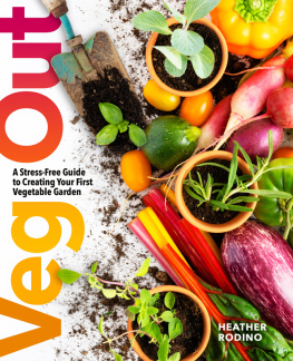 Heather Rodino - Veg Out: A Stress-Free Guide to Creating Your First Vegetable Garden