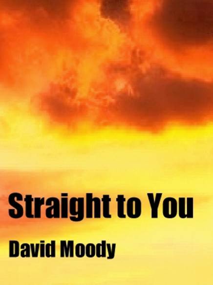 Straight to You by David Moody 9 As I had planned earlier I arrived at - photo 1