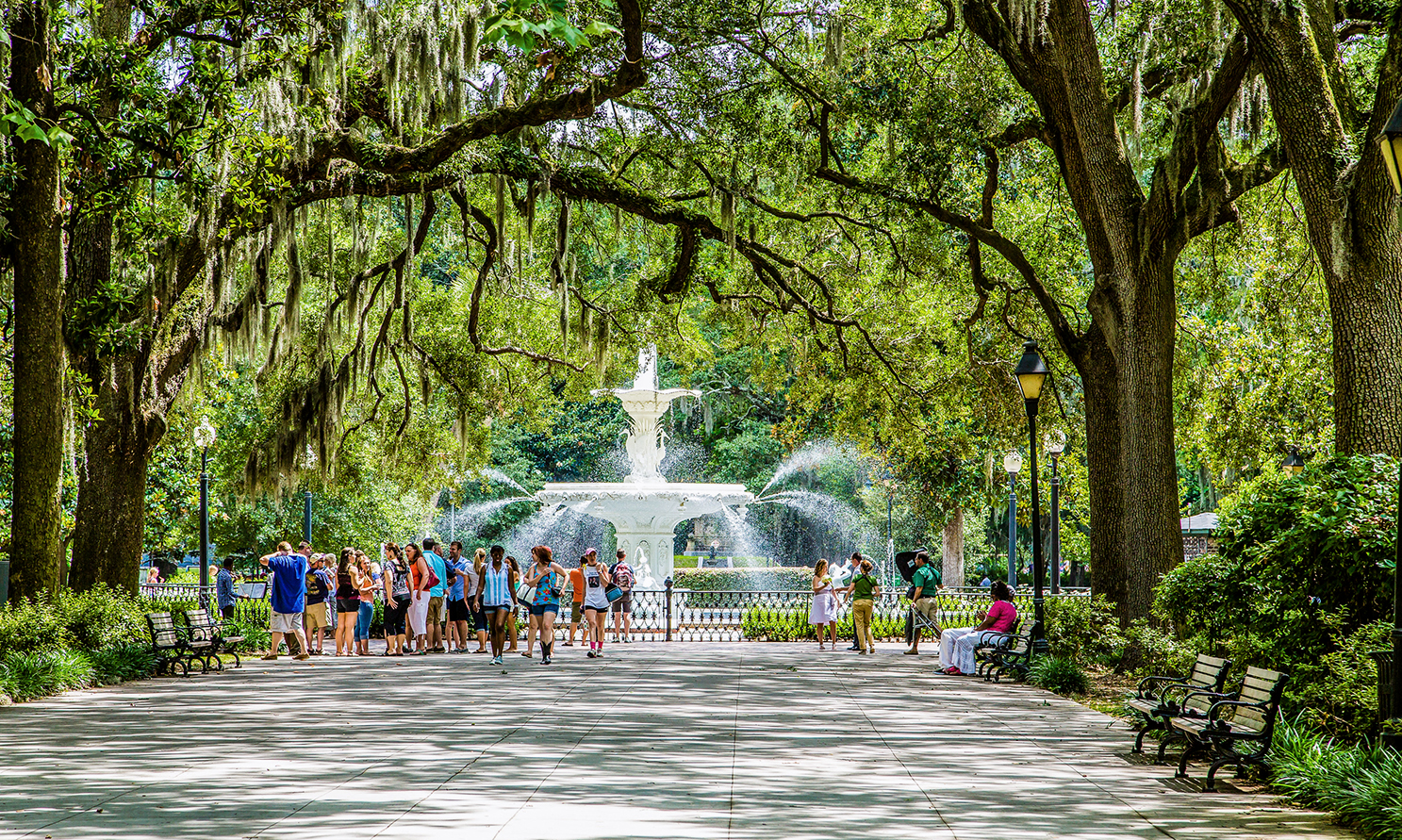 DARRYL BROOKSSHUTTERSTOCK Charleston Savannahs Top Experiences J - photo 5