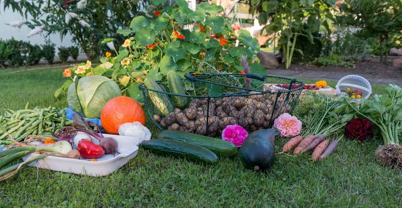 Chapter 1 First Things FirstWhy Should Anyone Learn Gardening If you could - photo 2