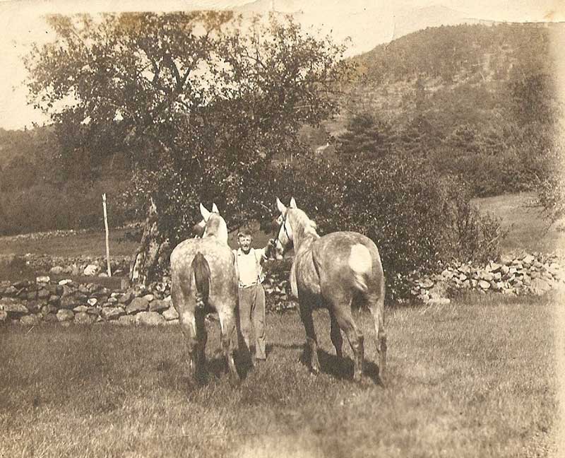 My grandfather with Tom and Jerry Gypsy our riding horse stood big enough - photo 2