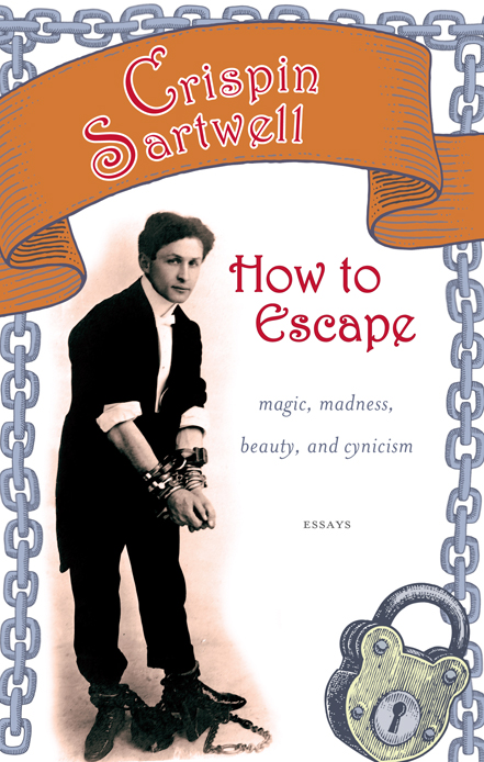 HOW TO ESCAPE How to Escape magic madness beauty and cynicism C - photo 1