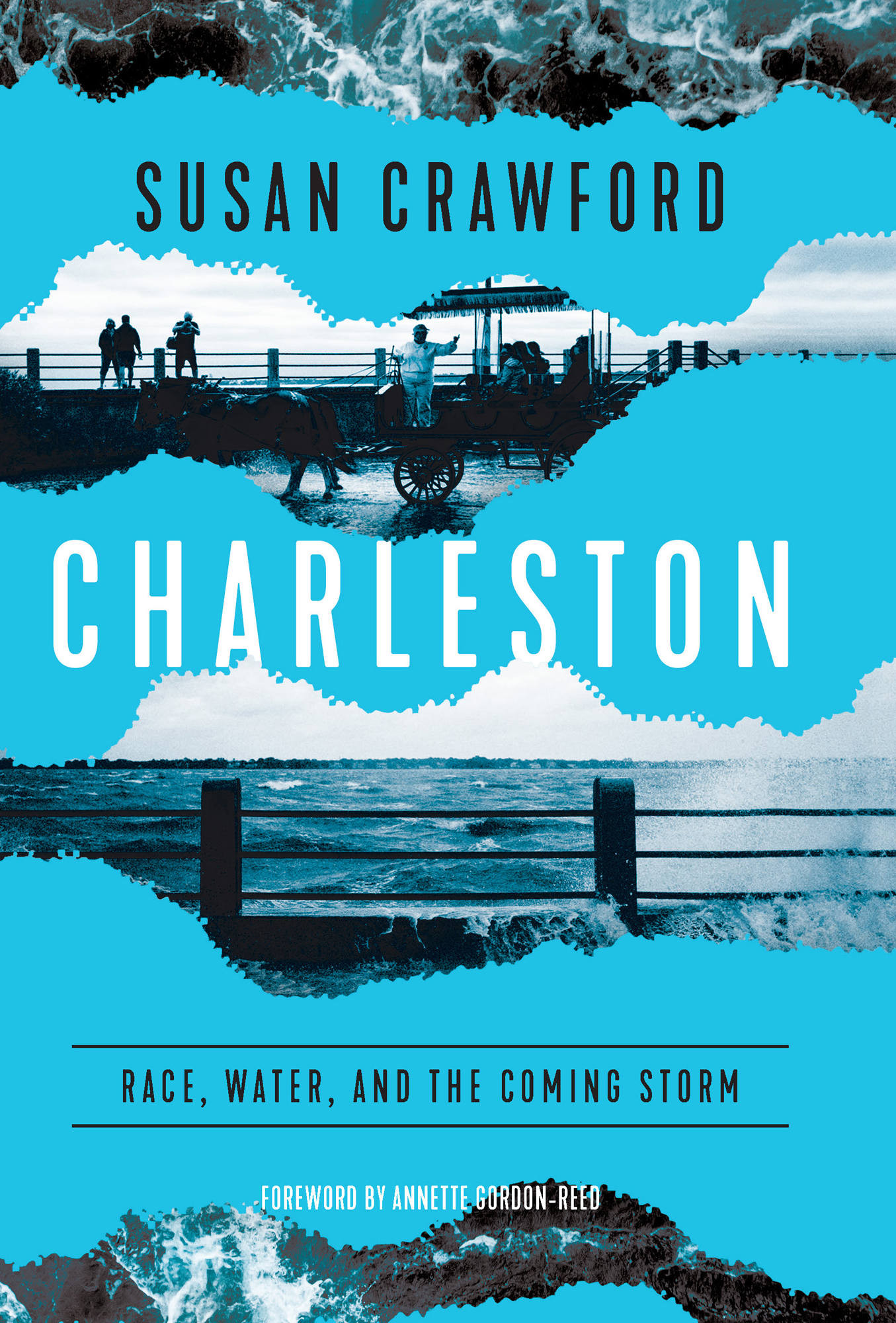 Susan Crawford Charleston Race Water and the Coming Storm Foreword by Annette - photo 1