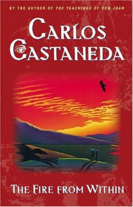 Carlos Castaneda The Fire from Within