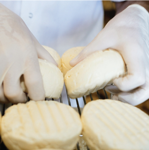 From the start Cowgirl Creamerys handcrafted cheeses benefitted from local - photo 2