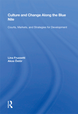 Lina Fruzzetti - Culture and Change Along the Blue Nile: Courts, Markets, and Strategies for Development