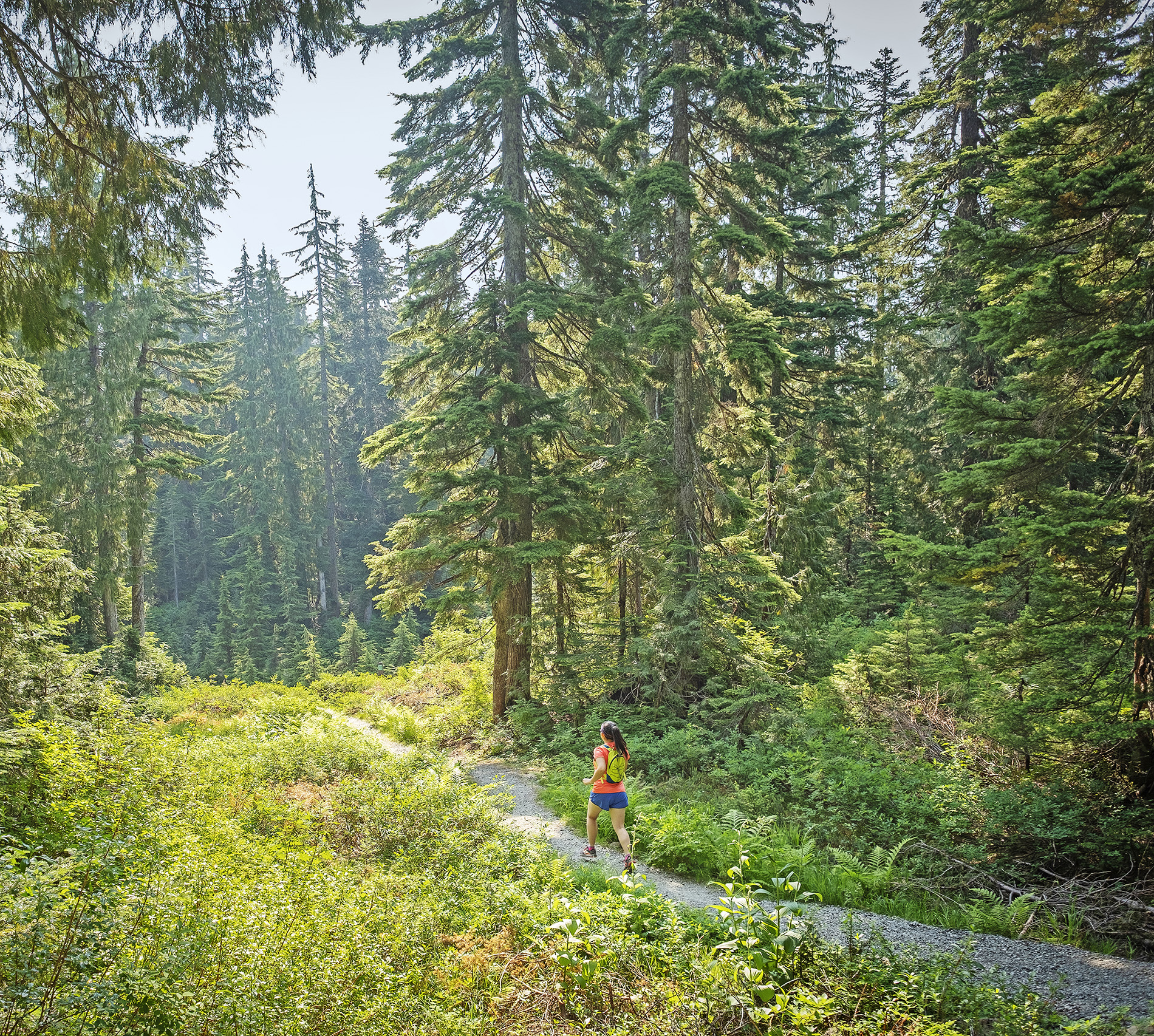 Jogging through a deep-green forest near Vancouver in British Columbia Canada - photo 6