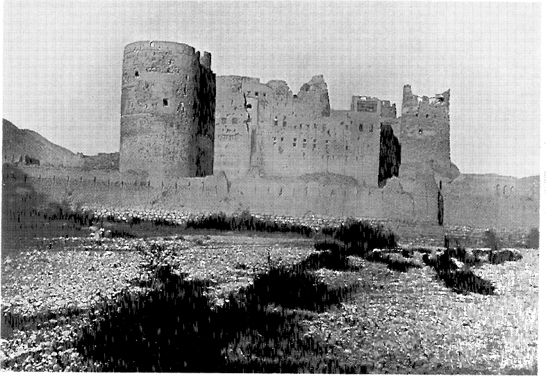 THE OLD FORT OR CASTLE AT ROSTAK See p 239 CHAPTER V THE AL-BU SAEEDI - photo 3