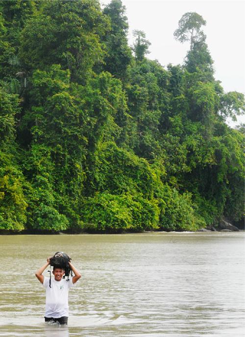 Fieldwork in IndonesiaLogging too has been a major threat to tree species - photo 3