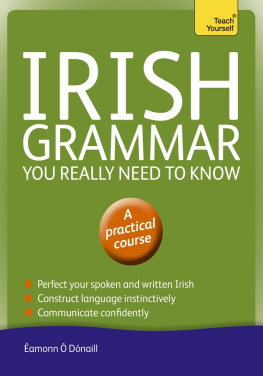 Éamonn Ó Dónaill - Irish Grammar You Really Need to Know: Teach Yourself