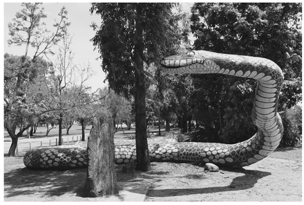 Gubulla Munda Carpet snake is the totem for the Juru Clan of the Birri Gubba - photo 2