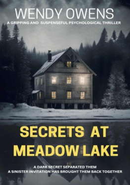 Wendy Owens Secrets At Meadow Lake