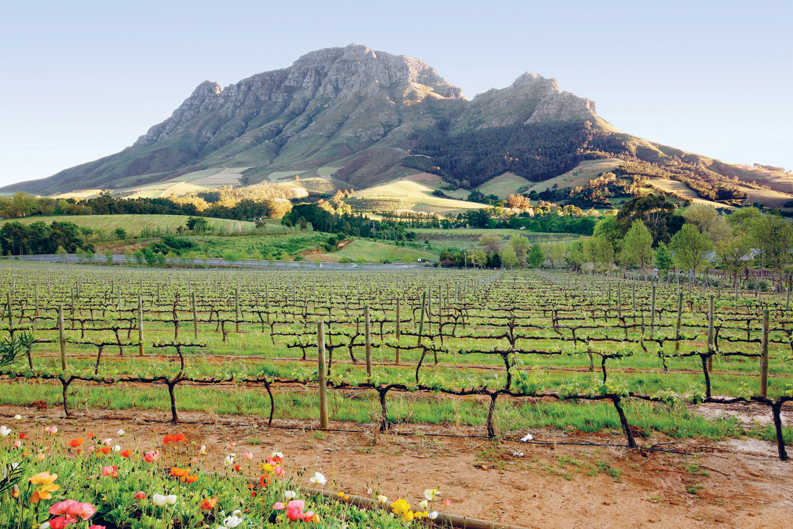 Stellenbosch HOBERMAN COLLECTIONCORBIS Wild Coast Walks The hauntingly - photo 9