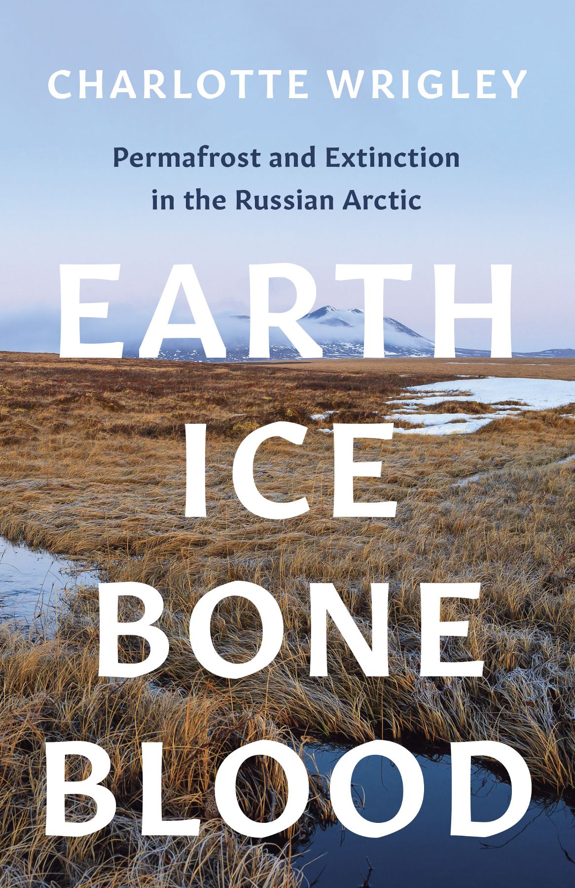 Earth Ice Bone Blood Earth Ice Bone Blood Permafrost and Extinction in - photo 1