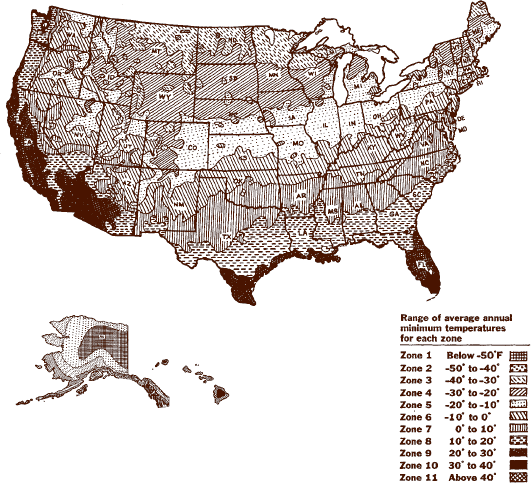 Hardiness Plant Zone Map Working with a Small Space If there isnt much option - photo 4