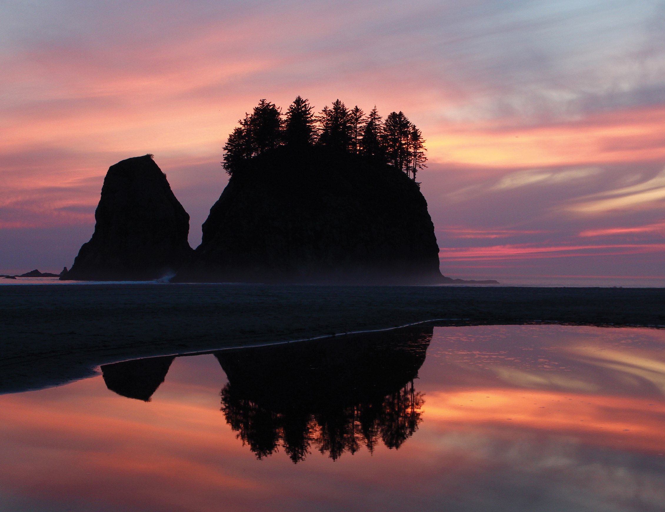 Between the Tides in Washington and Oregon Exploring Beaches and Tidepools - image 4