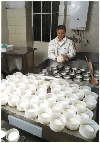 Piedmont is a large producer of cheese the most famous types being bra tome - photo 2